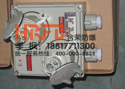 BCX51系列防爆配電箱 專業(yè)照明動(dòng)力解決方案與廠家直銷(xiāo)優(yōu)勢(shì)